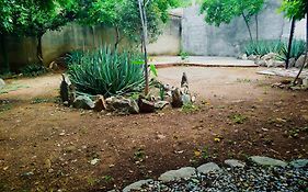 Gigi House Taganga